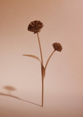 Tul Flower - Textured Duo Tan