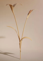 Touka Flower - Textured Trio Wheat