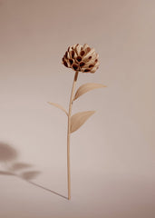 Dalium Flower - Duo Beige