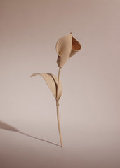 Pili Flower - Duo Beige
