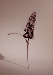 Orki Flower - Duo Lilac