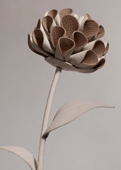 Dalium Flower - Duo Chalk