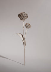 Tul Flower - Duo Chalk