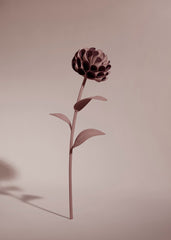 Dalium Flower - Duo Lilac