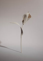 Pili Flower - Duo Chalk