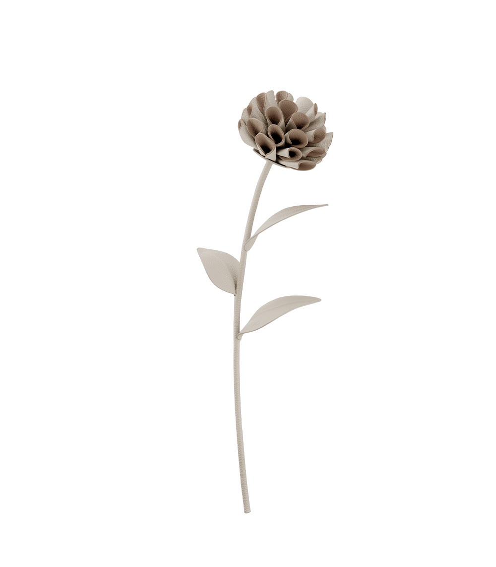 Dalium Flower - Duo Chalk