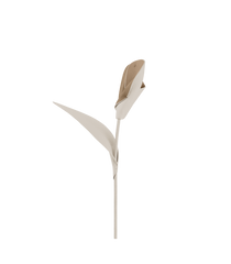 Pili Flower - Textured Duo Chalk