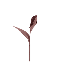 Pili Flower - Duo Lilac