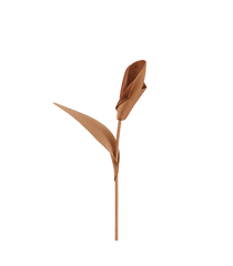 Pili Flower - Textured Duo Tan